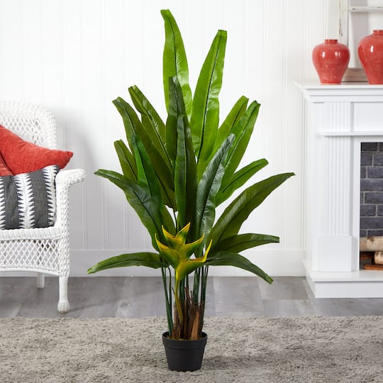 4.5ft. Potted Traveler's Palm Tree